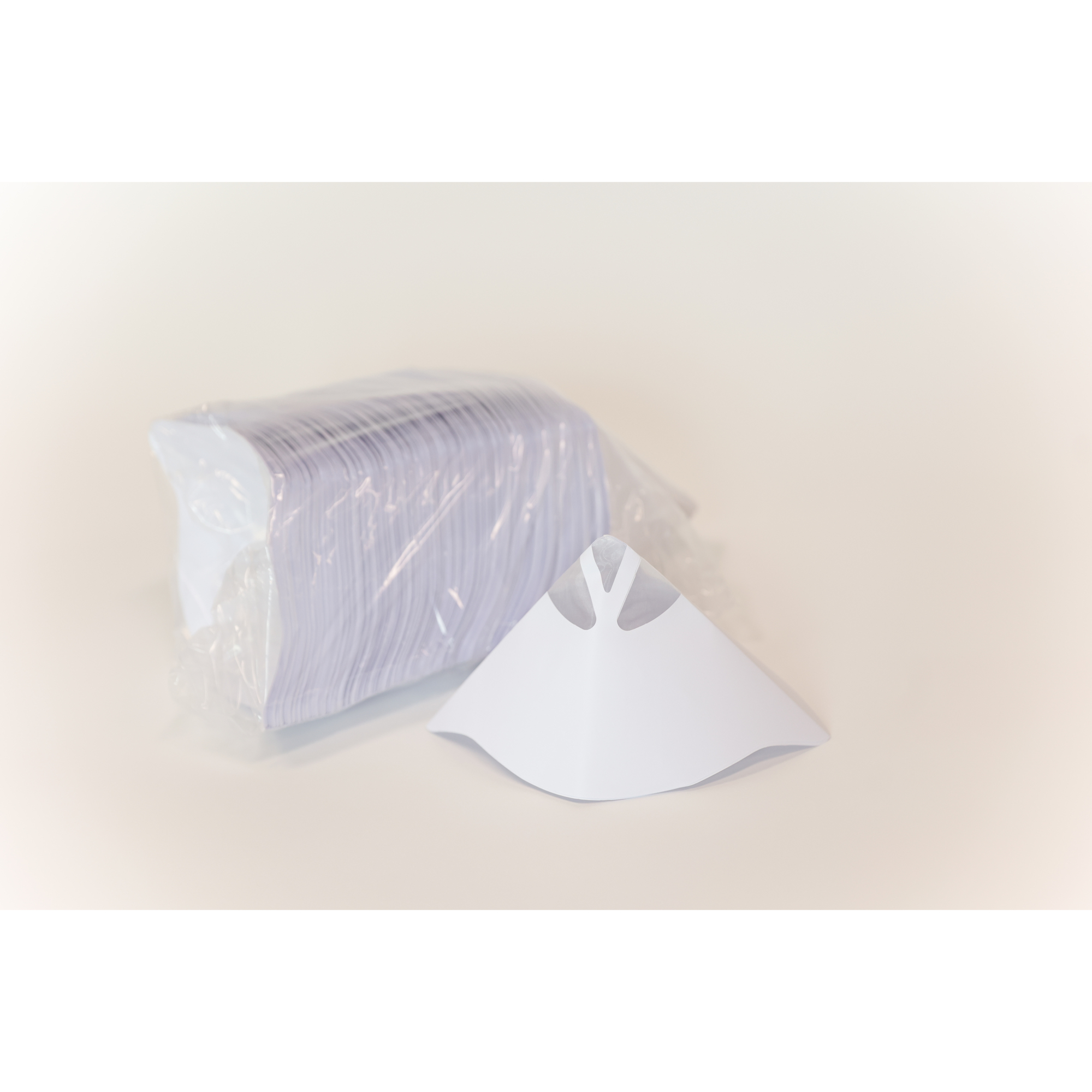 PPC Fine Mesh Strainers 190 Micron, Height 18.75 in, Model# CH-F-STR